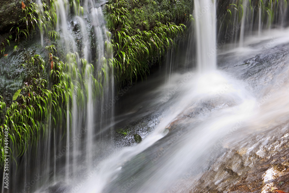 Fototapeta premium Beautiful small creek and waterfall inChangMai, Thailand