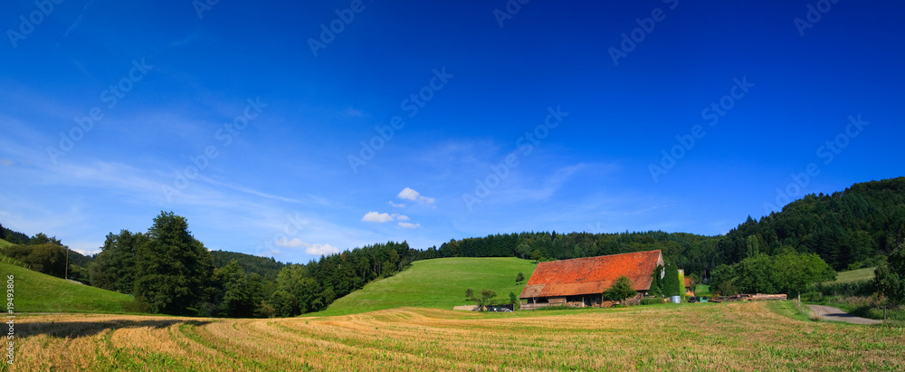 sumer landscape at Germany wiht blue sky and mountain