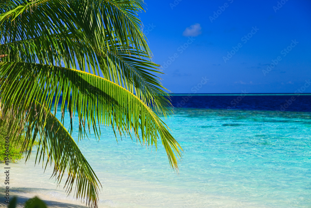 Naklejka premium Tropical Paradise at Maldives