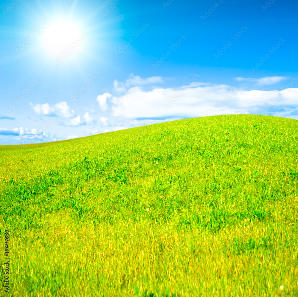 Fototapeta premium krajobraz pola