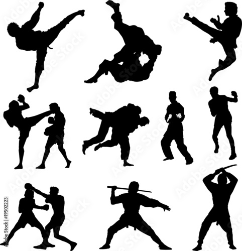 Combat sports silhouettes #19502223
