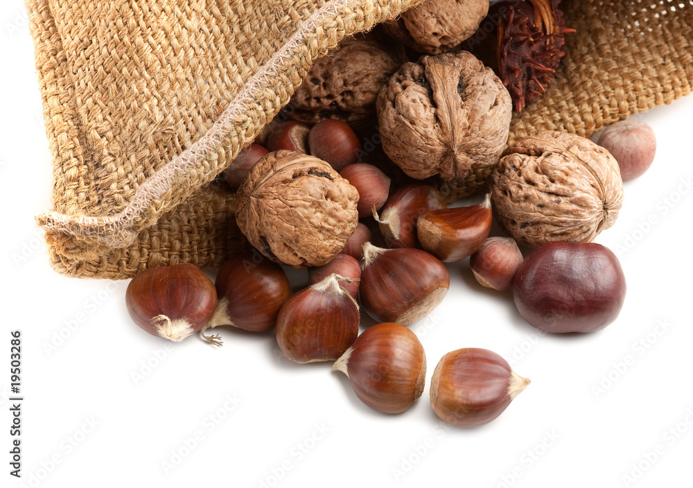 Chestnuts, walnuts and hazelnuts Chestnuts, walnuts and hazelnuts