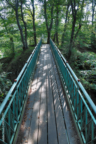 kleine Br  cke im Wald