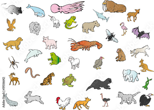 Animali