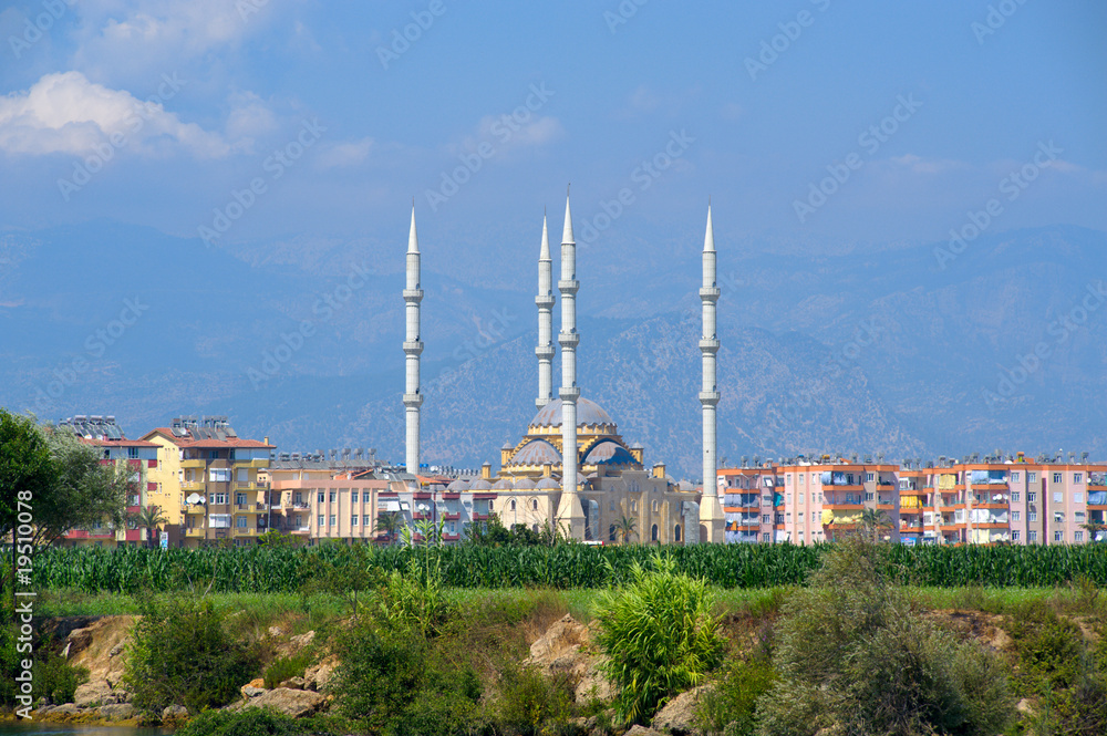 Obraz premium mosque
