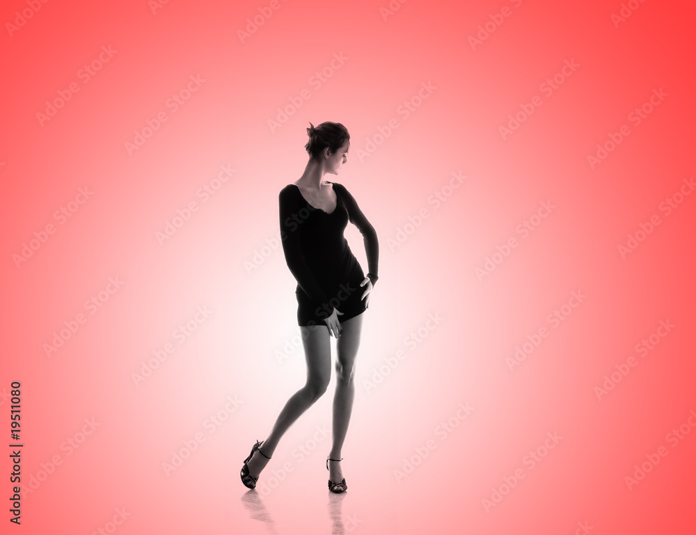 Outlines of a beautiful young woman Outlines of a beautiful young woman
