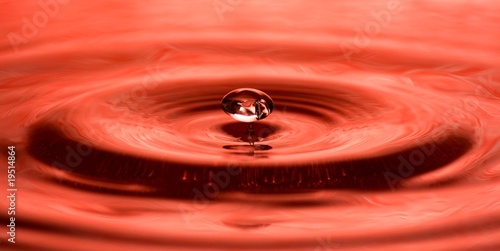 Water droplet close up