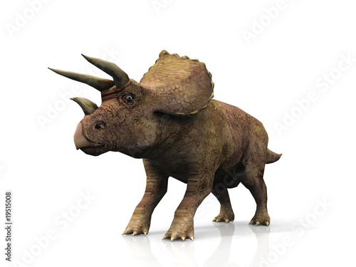 Le Triceratops © NJ