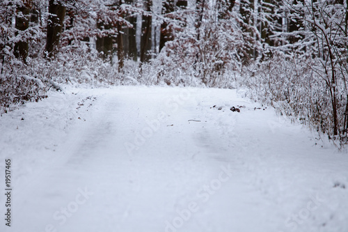 Wallpaper Mural Winterdienst Torontodigital.ca