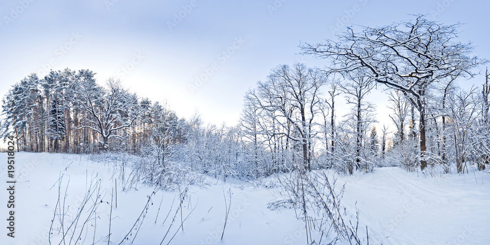 Fototapeta premium Winter landscape