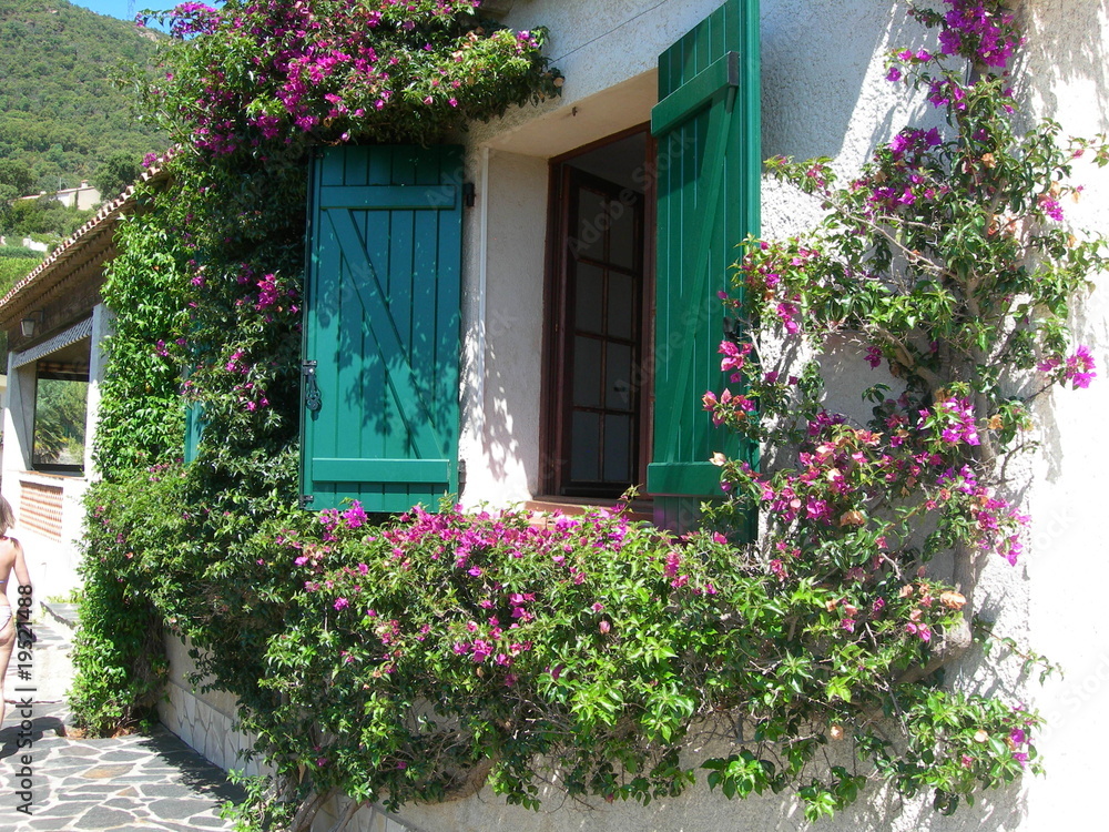 maison sud maison sud