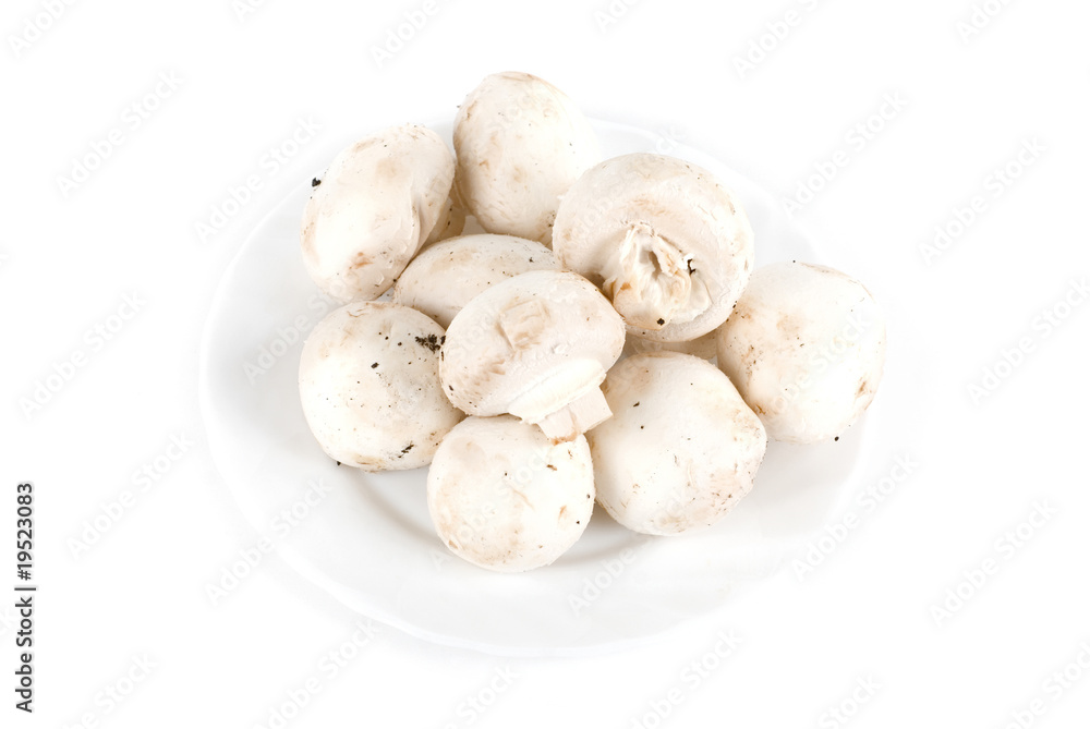 champignon champignon