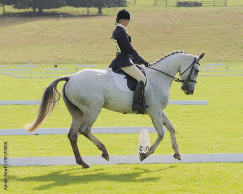 Εκτύπωση καμβά dressage