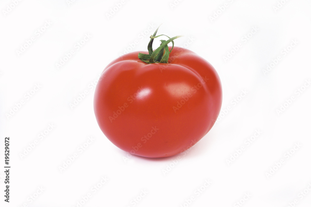 Tomato Tomato