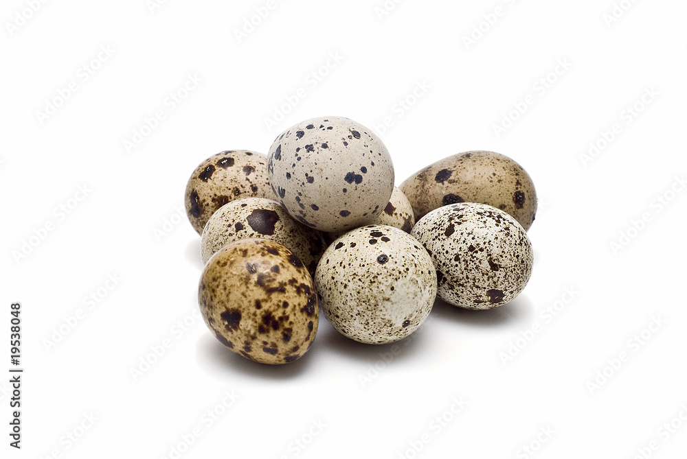 Huevos de codorniz. Huevos de codorniz.