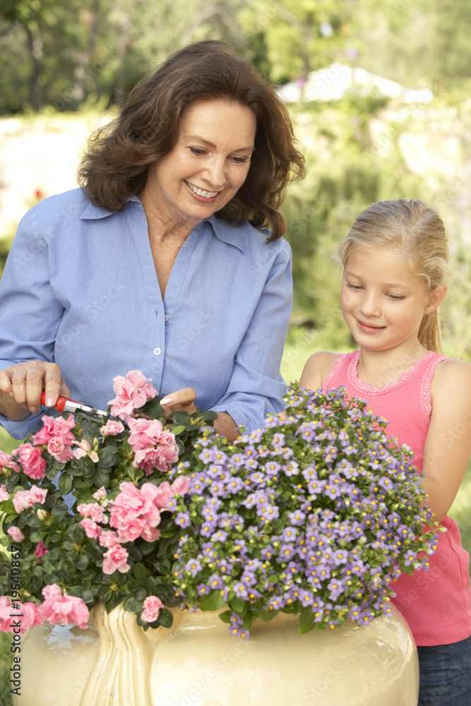 Grandmother With Granddaughter Gardening Together
