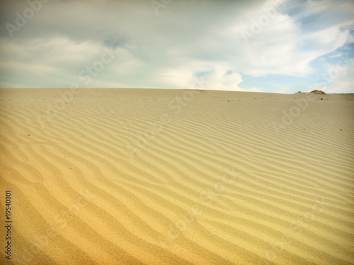 Sand dunes in Thar desert