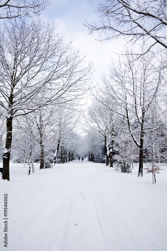winter avenue