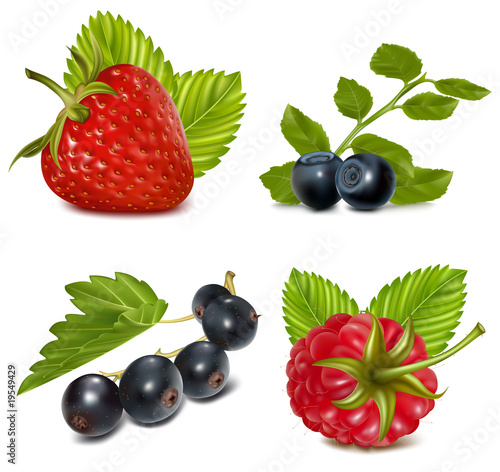 Photorealistic vector illustration. Set of berries with leaves.