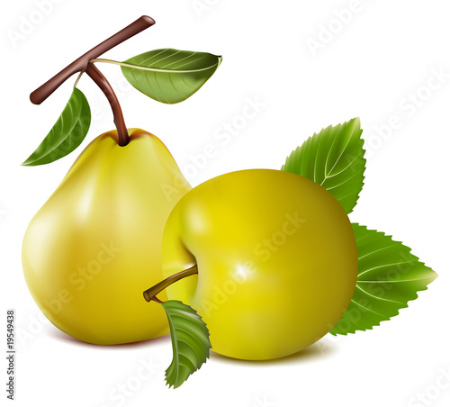 Photorealistic vector. Apple and pear.