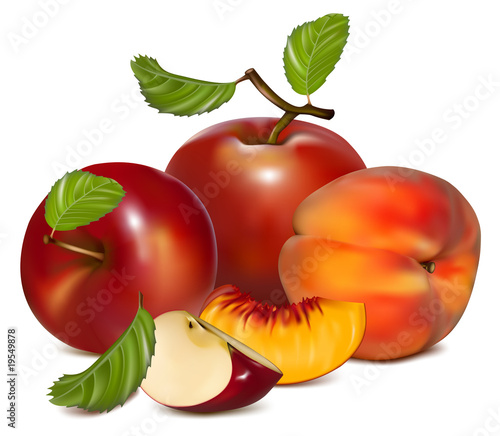 Vector illustration. Red apples and ripe peaches.