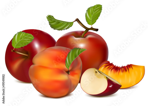 Vector illustration. Red apples and ripe peaches.