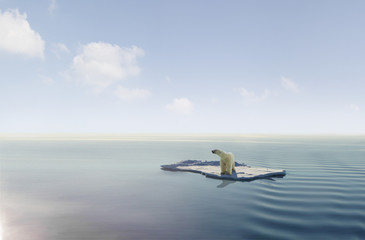 Wandcirkels Ijsbeer IJsbeer en klimaatverandering op ijs  © Jan Will