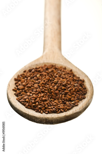 wooden spoon with cress seeds