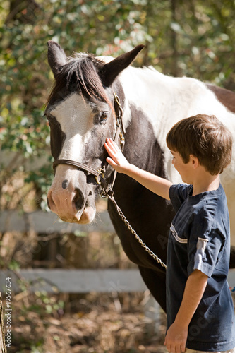 Little Boy Happy to be Petting a Horse © sonya etchison