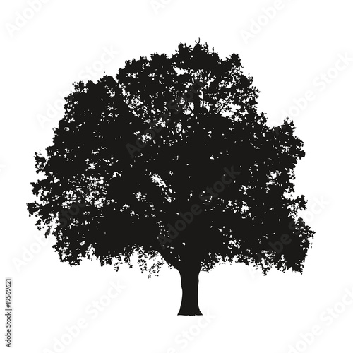 Arbre très détaillé