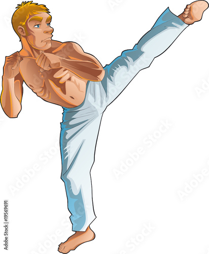 Martial art pose. Vector an...