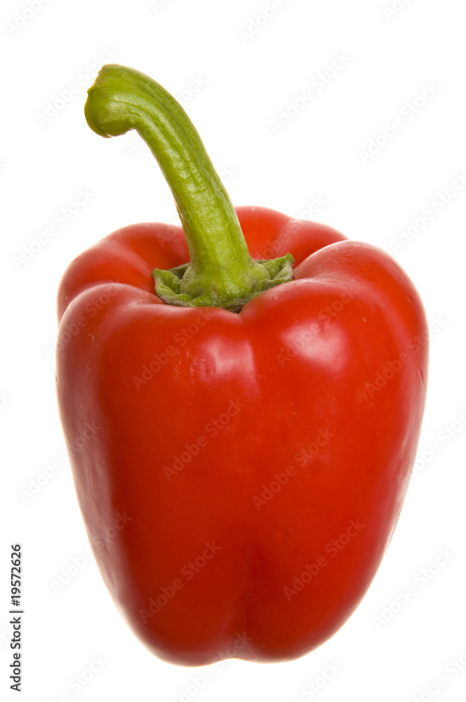 fresh red paprika isolated on white background fresh red paprika isolated on white background
