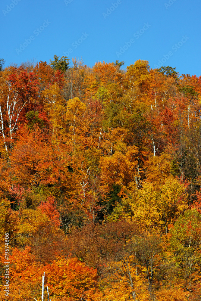 automne automne