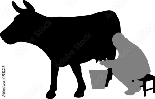 man milking a cow - vector