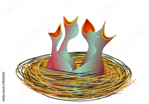 hungry little birds in the nest