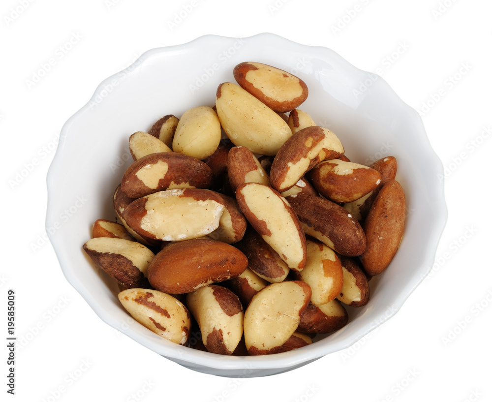 Brazil nut (Bertholletia excelsa) Brazil nut (Bertholletia excelsa)