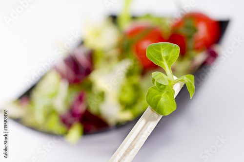 ensalada variada de colores