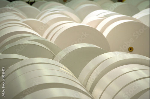 Industrial Paper Rolls
