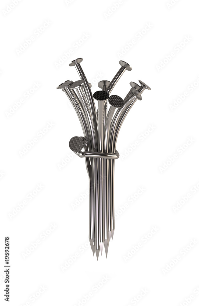 Bouquet of nails Bouquet of nails
