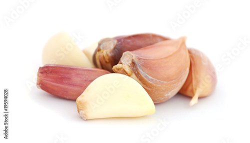 Garlic