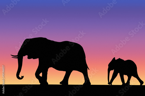Elephant family on sunset