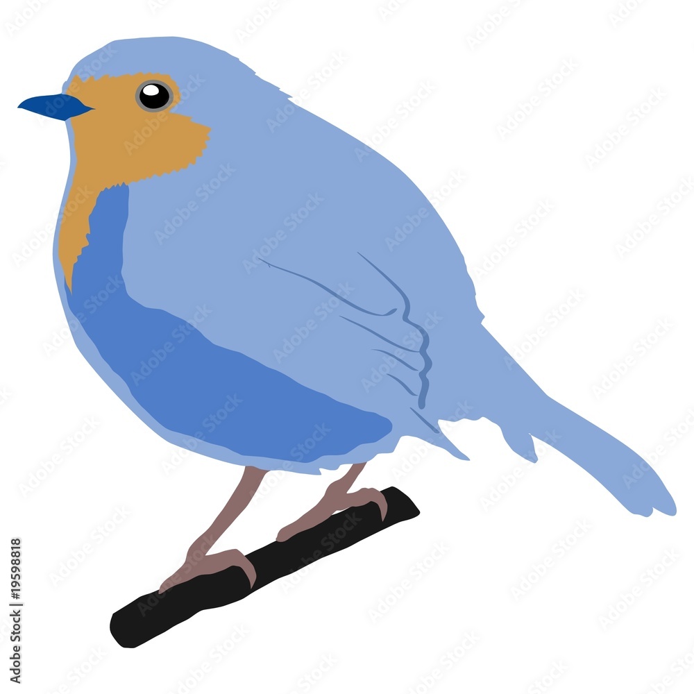 robin robin