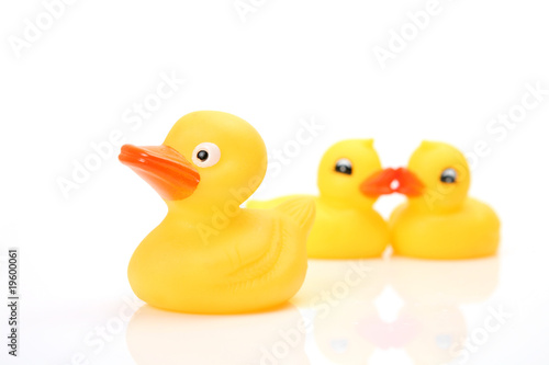 Yellow ducks