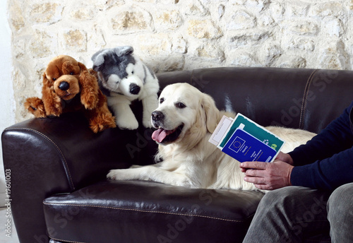 maître contrôlant les papiers officiels de son chien