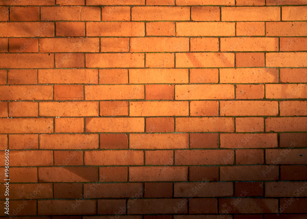 Fototapeta premium Czerwone Cegły