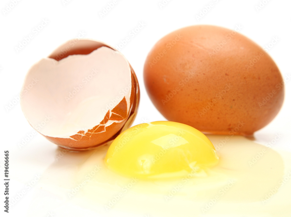 Egg Egg