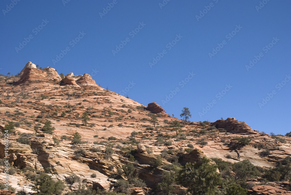 Fototapeta premium Zion National Park, Utah