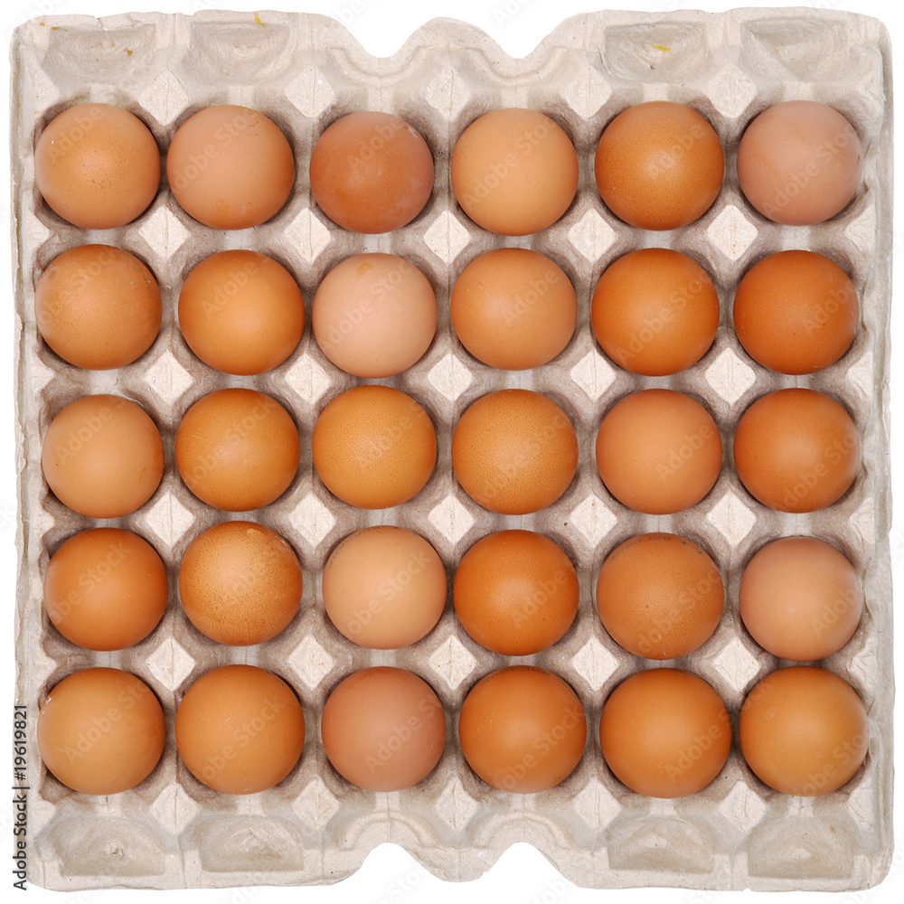 Eggs in protective packaging Eggs in protective packaging