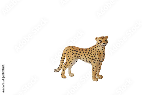 Tiere Afrikas - Gepard