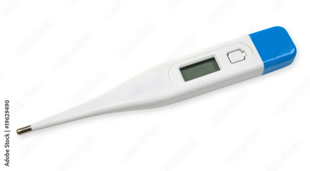 Electronic thermometer Electronic thermometer